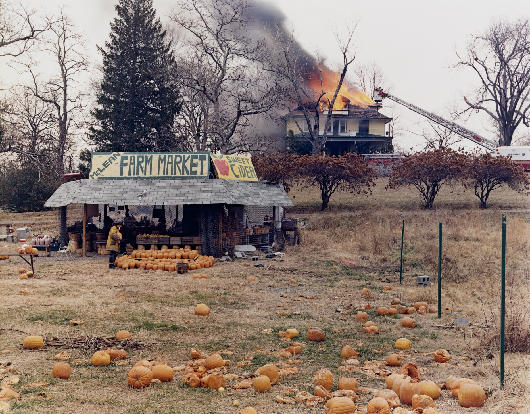 Joel Sternfeld. McLean, Virginia. December 4, 1978