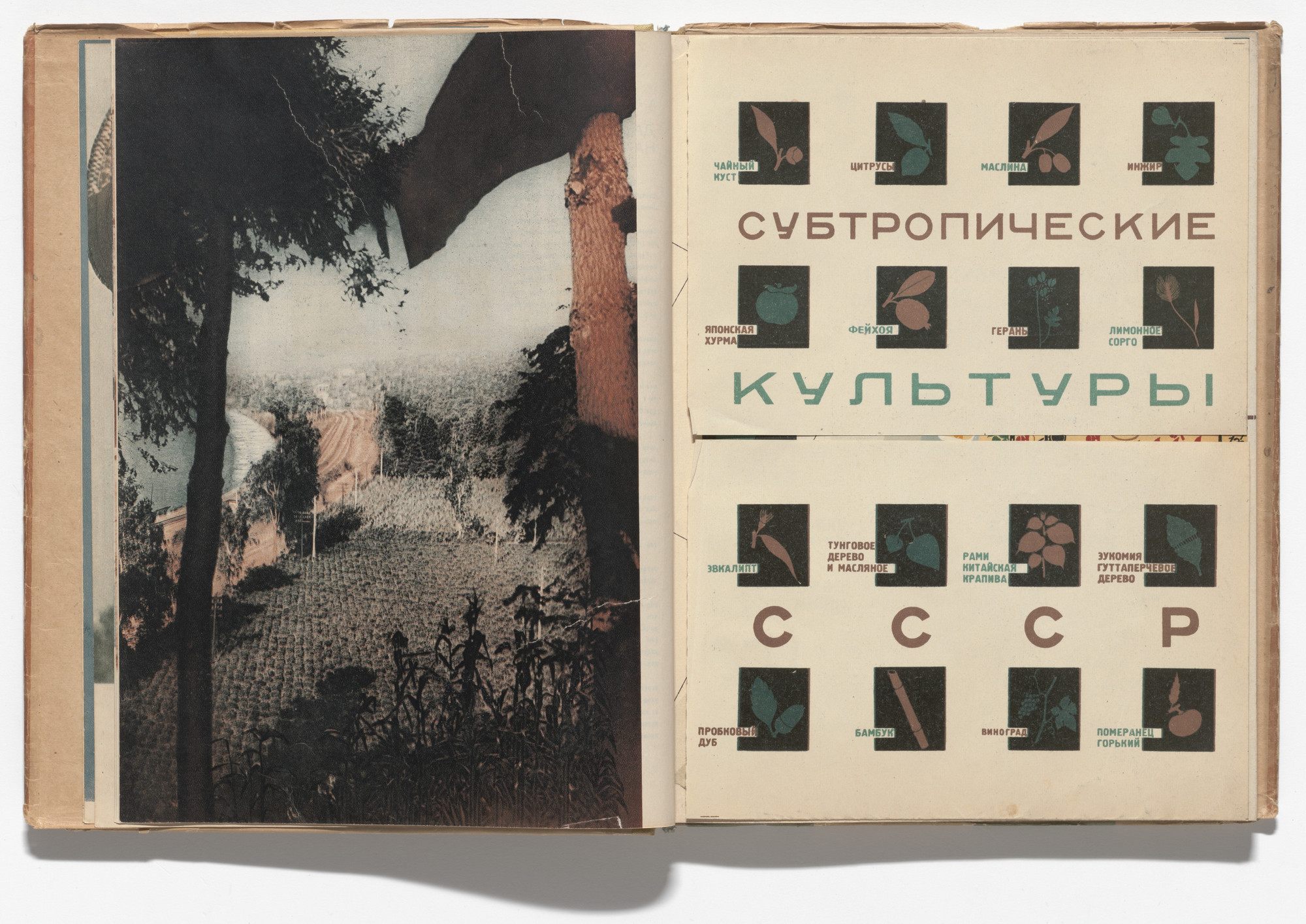 El Lissitzky, Sophie Lissitsky. Sovetskie subtropiki (The Soviet Subtropics). 1934