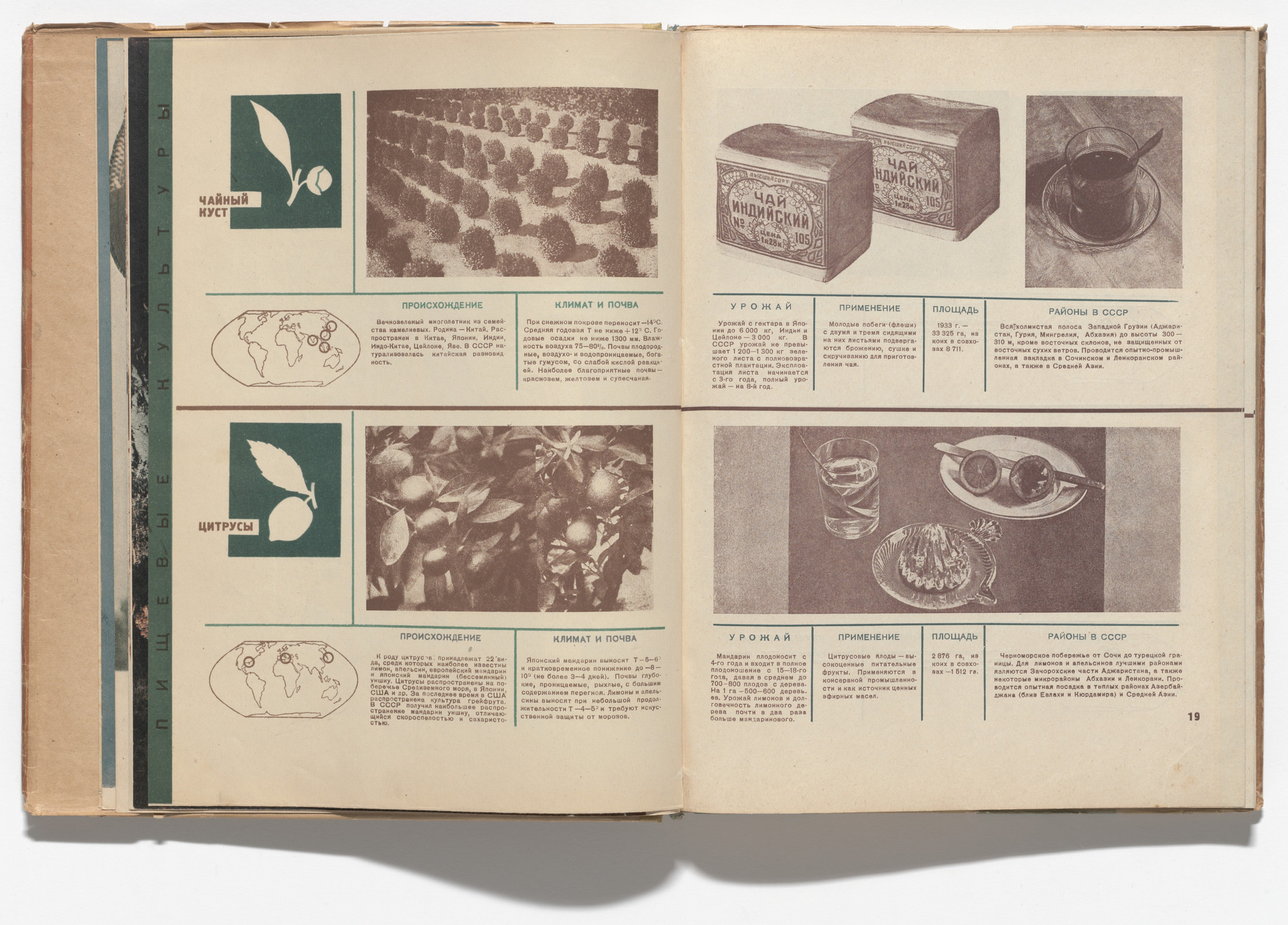 El Lissitzky, Sophie Lissitsky. Sovetskie subtropiki (The Soviet Subtropics). 1934