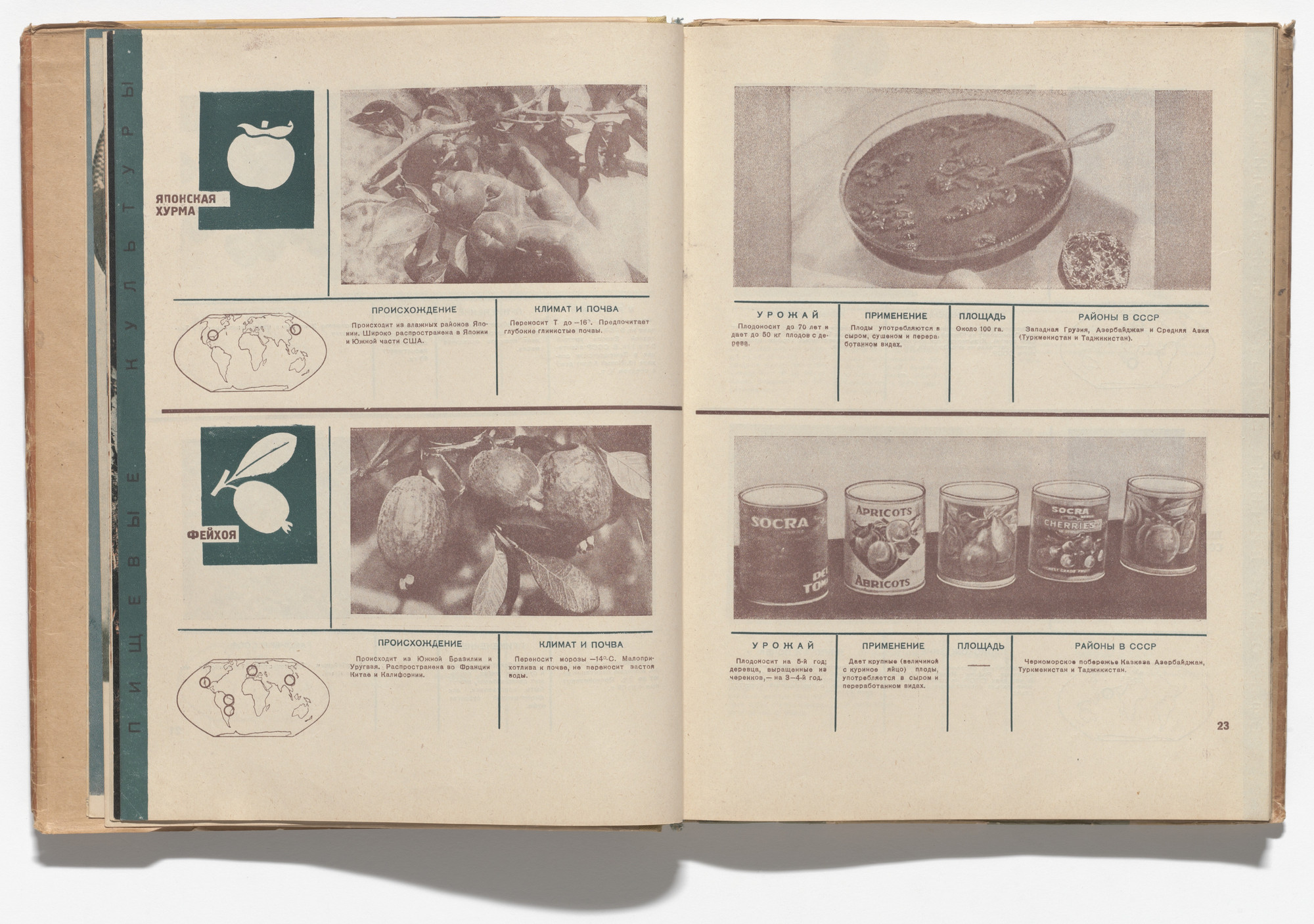 El Lissitzky, Sophie Lissitsky. Sovetskie subtropiki (The Soviet Subtropics). 1934