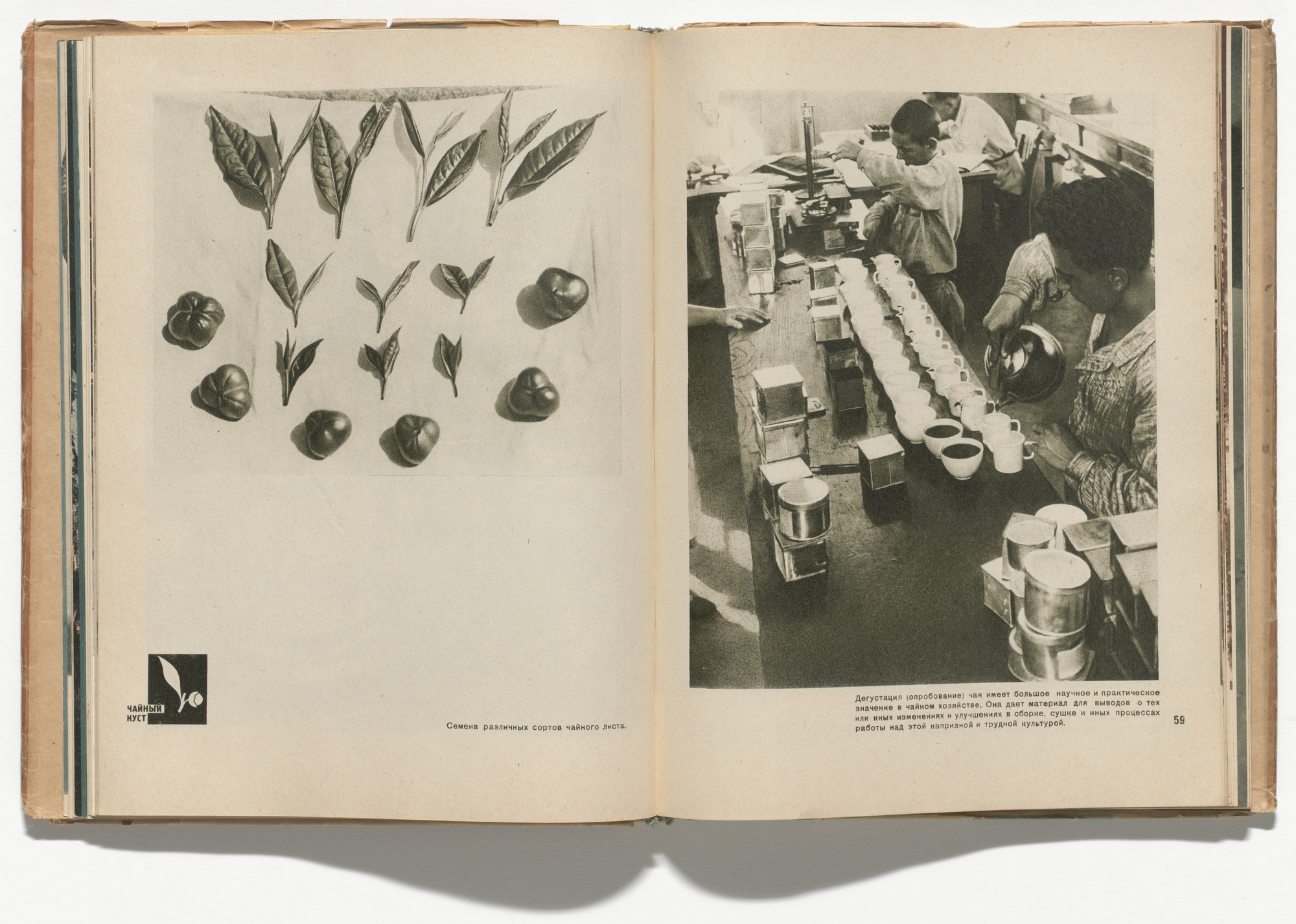 El Lissitzky, Sophie Lissitsky. Sovetskie subtropiki (The Soviet Subtropics). 1934