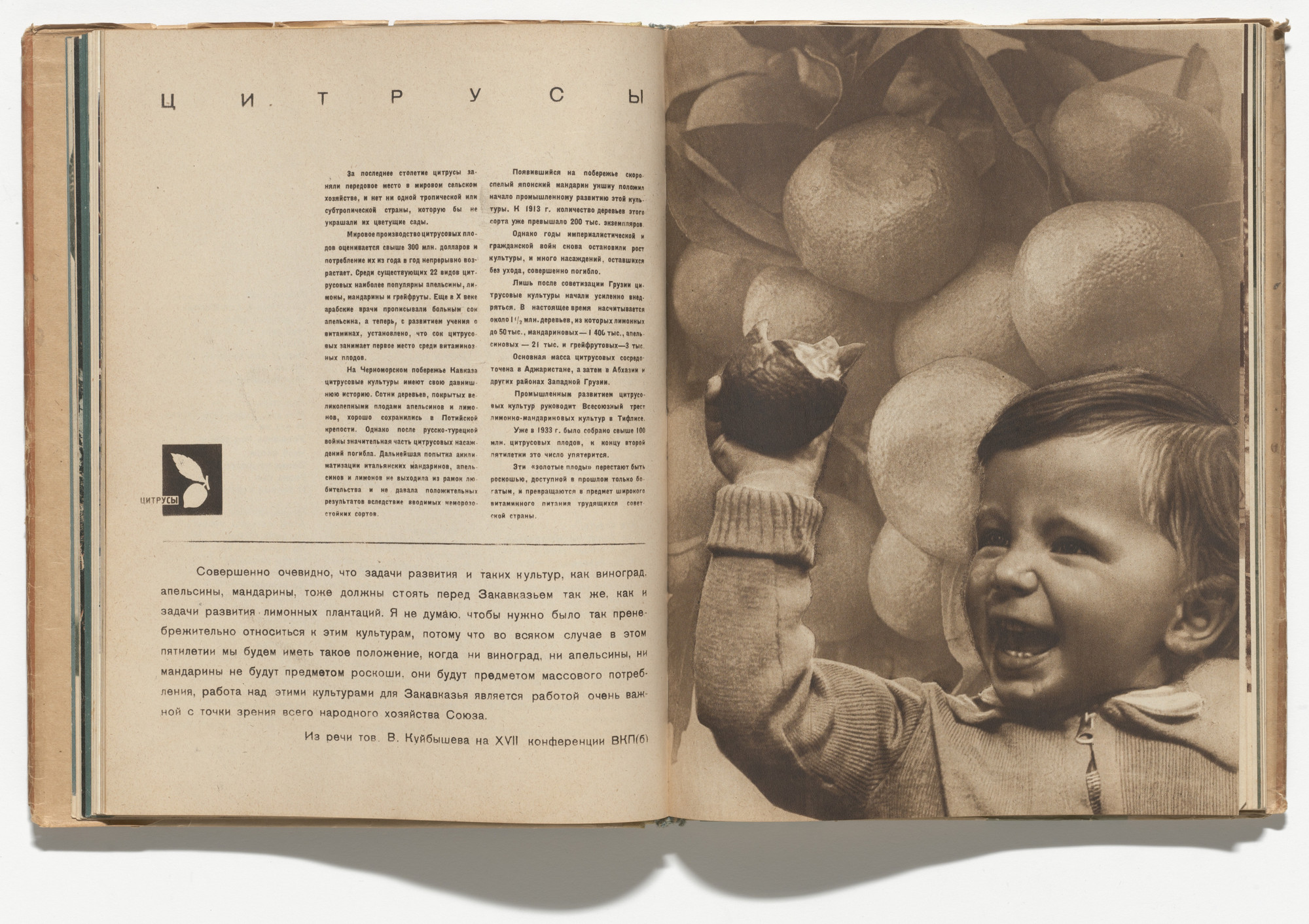 El Lissitzky, Sophie Lissitsky. Sovetskie subtropiki (The Soviet Subtropics). 1934