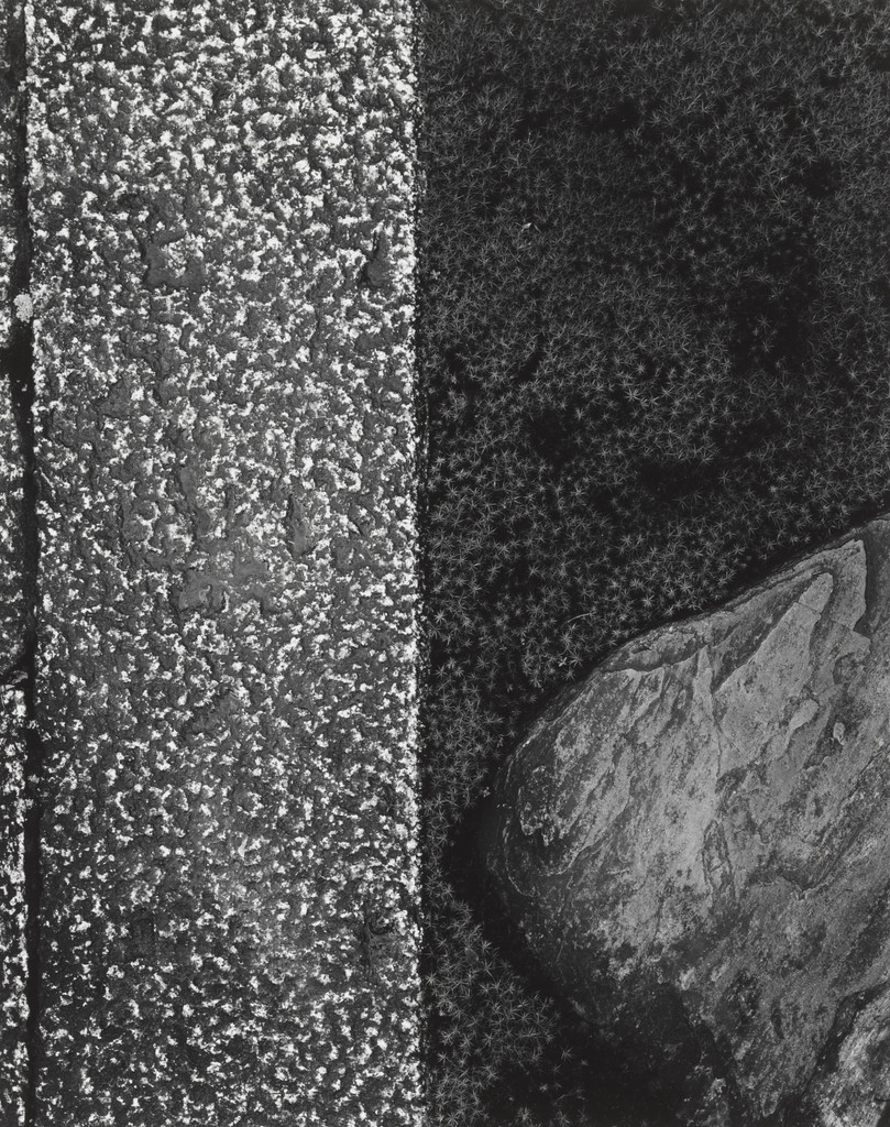 Stepping Stones of the Katsura Palace