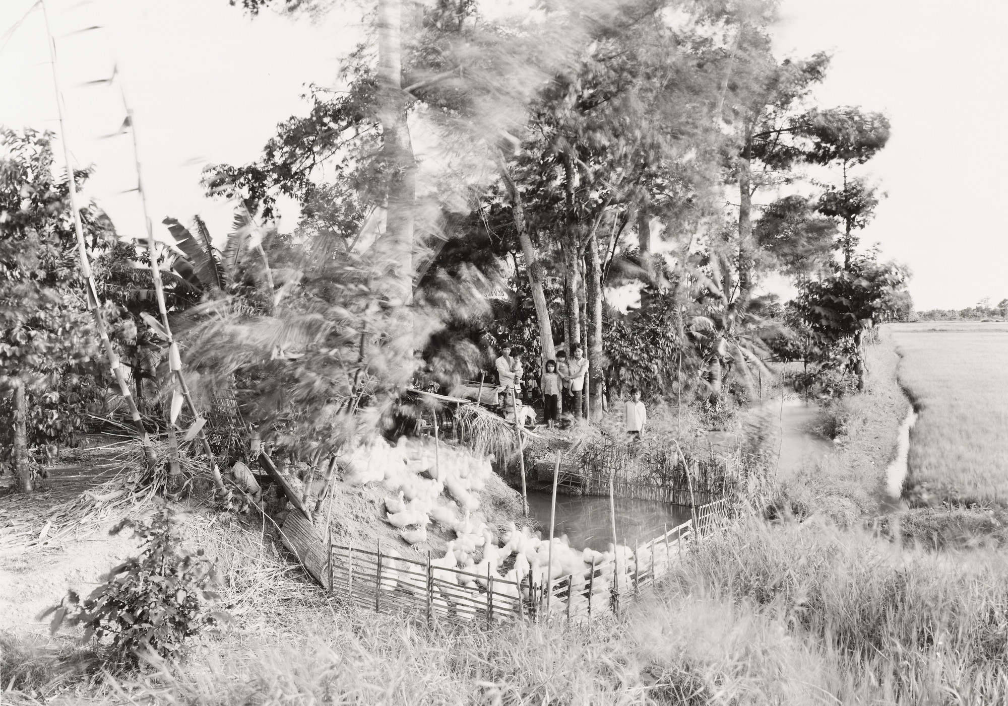 An-My Lê. Untitled, Mekong Delta. 1994