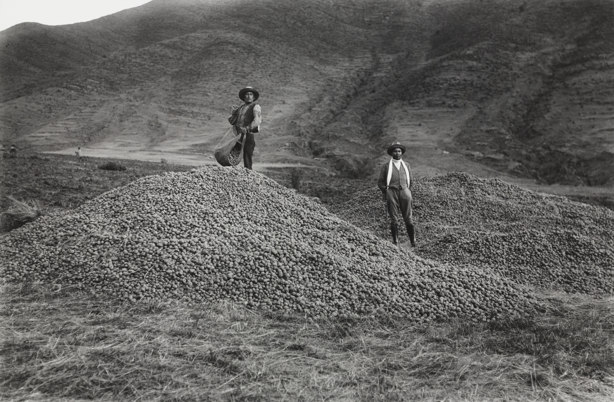 Martín Chambi. Venacio Arce and Campesino with Potato Harvest, near Katka, Quispicanchi. 1934