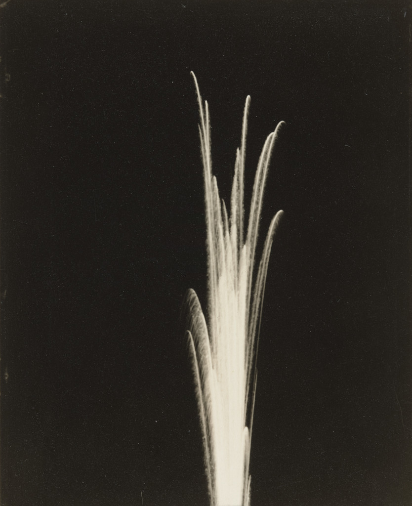 Leaf Form, Jay Leyda, 1925-41