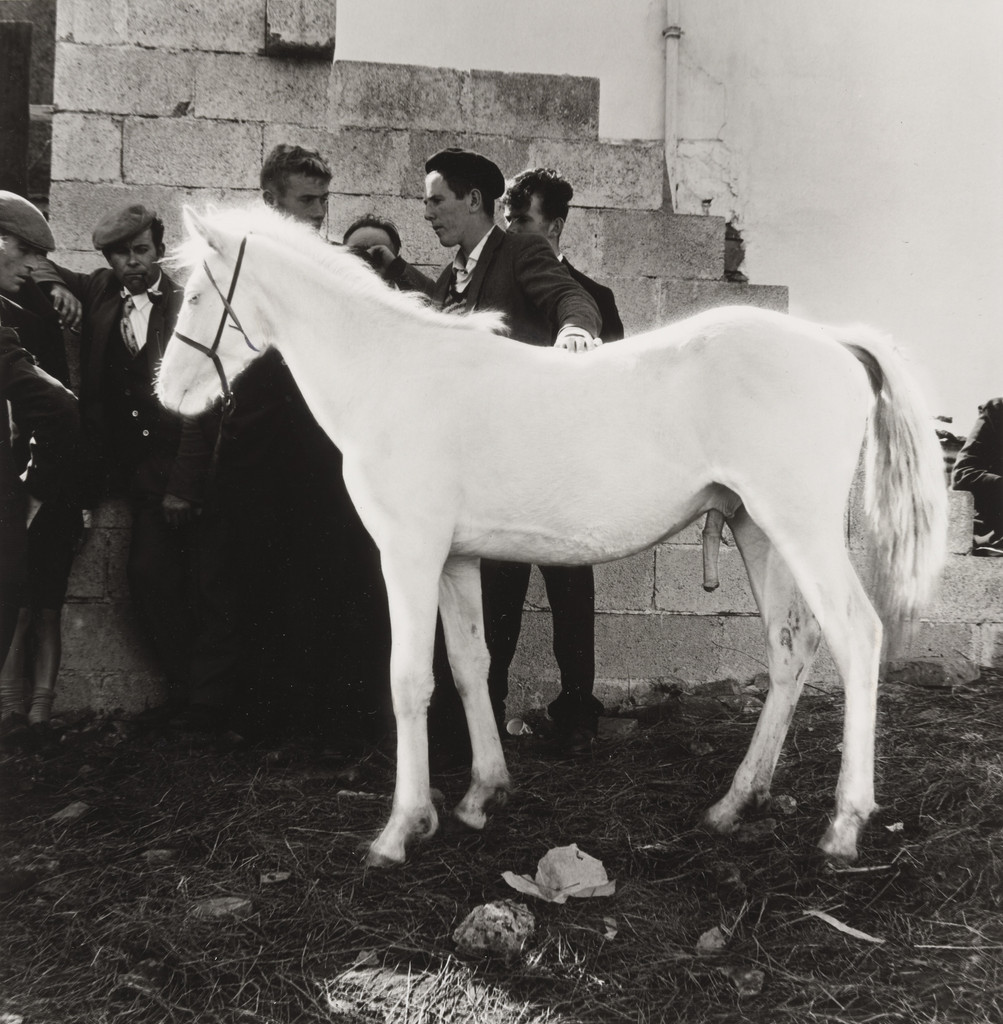Albino Pony With Men, Clifton Fair, Ireland