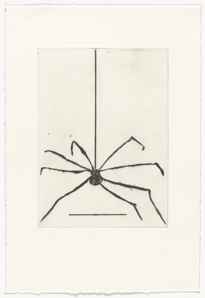 Spider