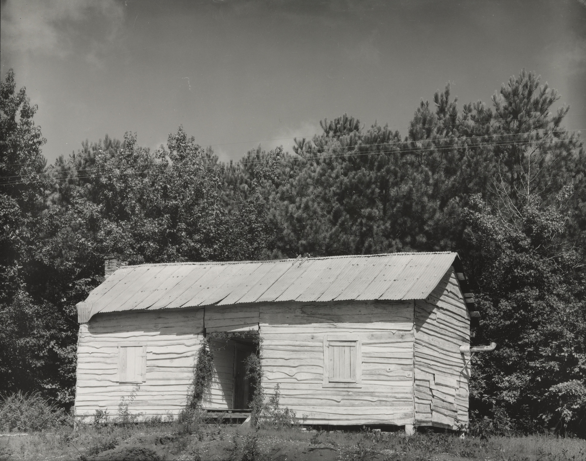 Walker Evans. Cabin, Hale County, Alabama