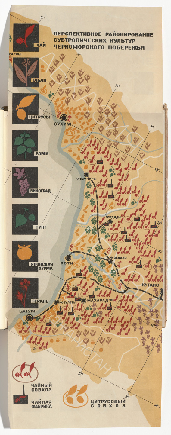 El Lissitzky, Sophie Lissitsky. Sovetskie subtropiki (The Soviet Subtropics). 1934