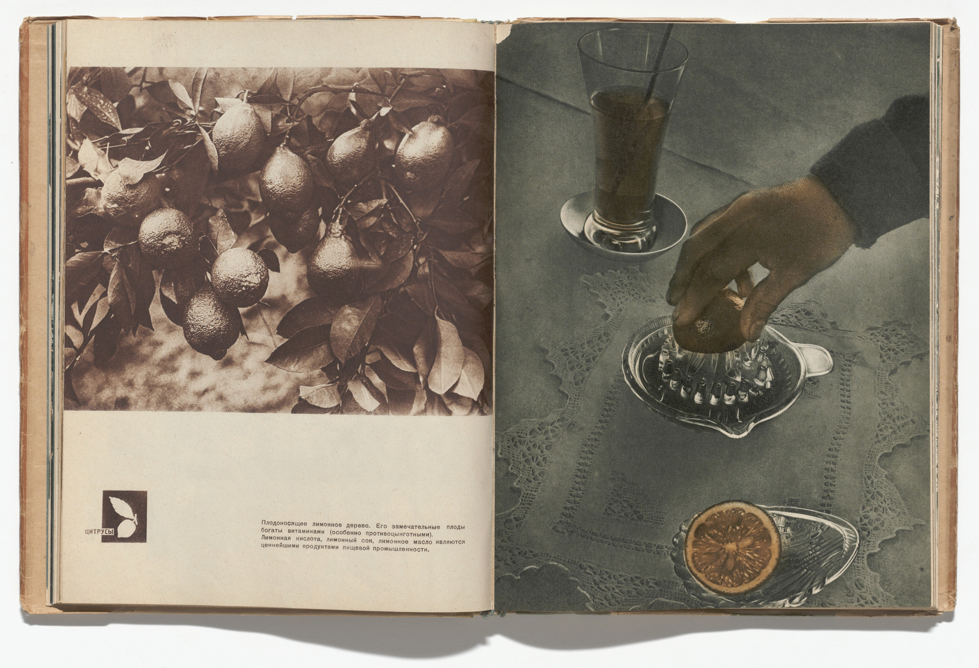 El Lissitzky, Sophie Lissitsky. Sovetskie subtropiki (The Soviet Subtropics). 1934