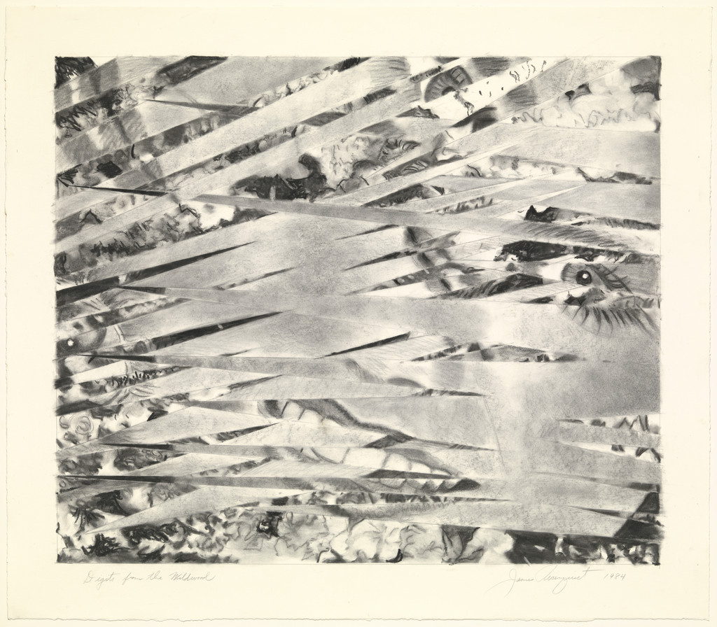 Digits from the Wildwood