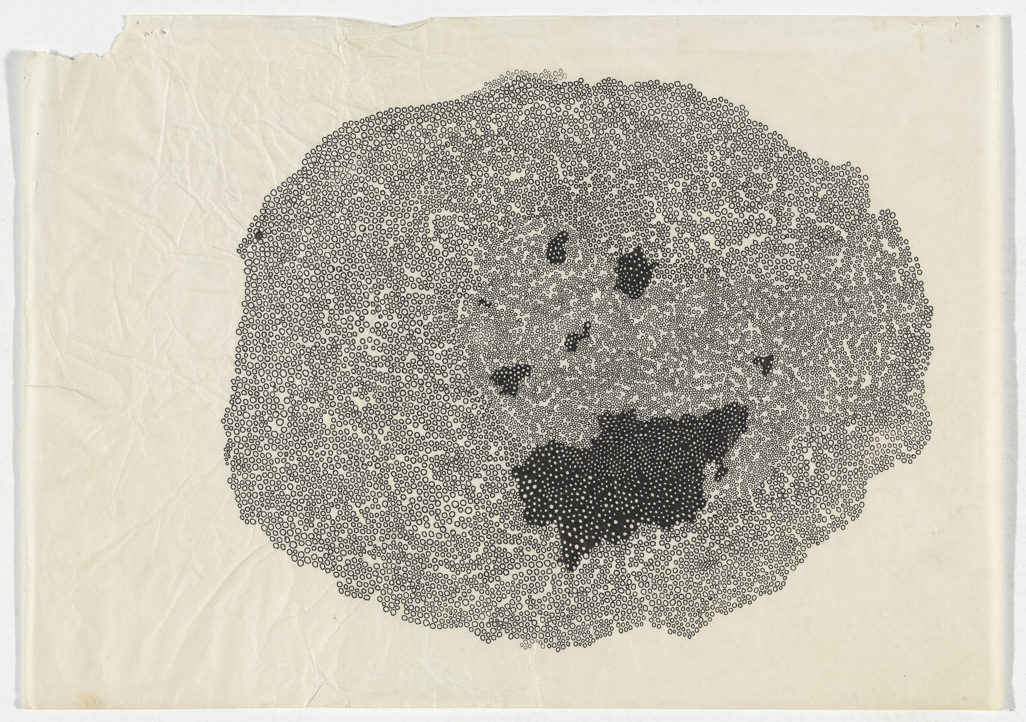 Bernardo Ortiz Campo. Untitled