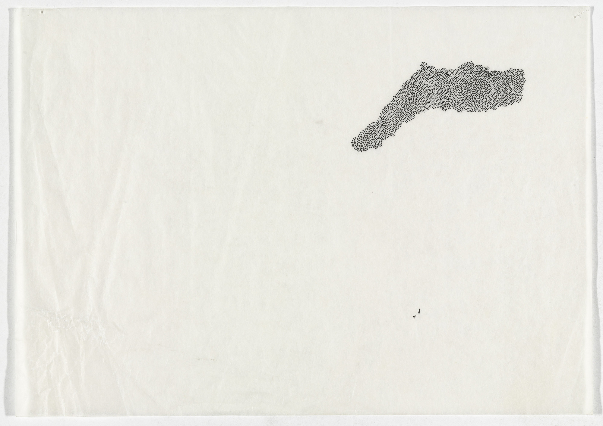 Bernardo Ortiz Campo. Untitled