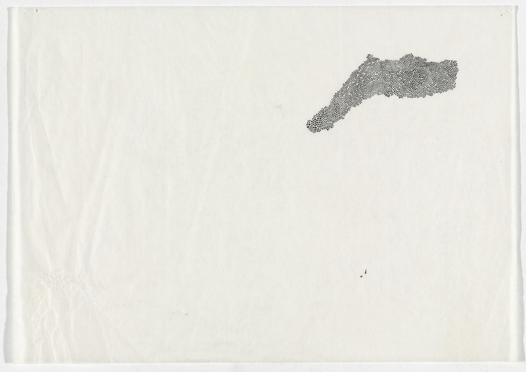 Untitled, Bernardo Ortiz Campo, (2007)