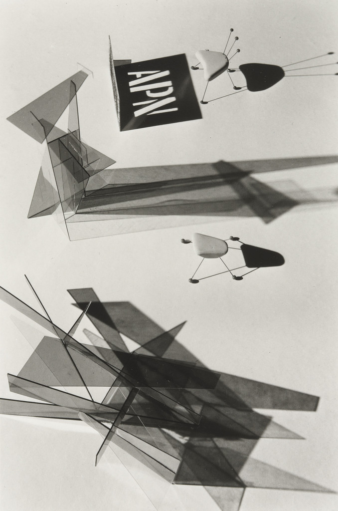 Untitled from the portfolio APN (Asahi Picture News)