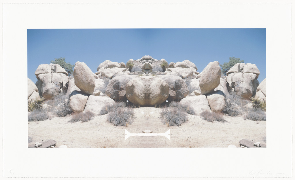 Bow-tie Screwhead from the series Bow-tie Landscapes