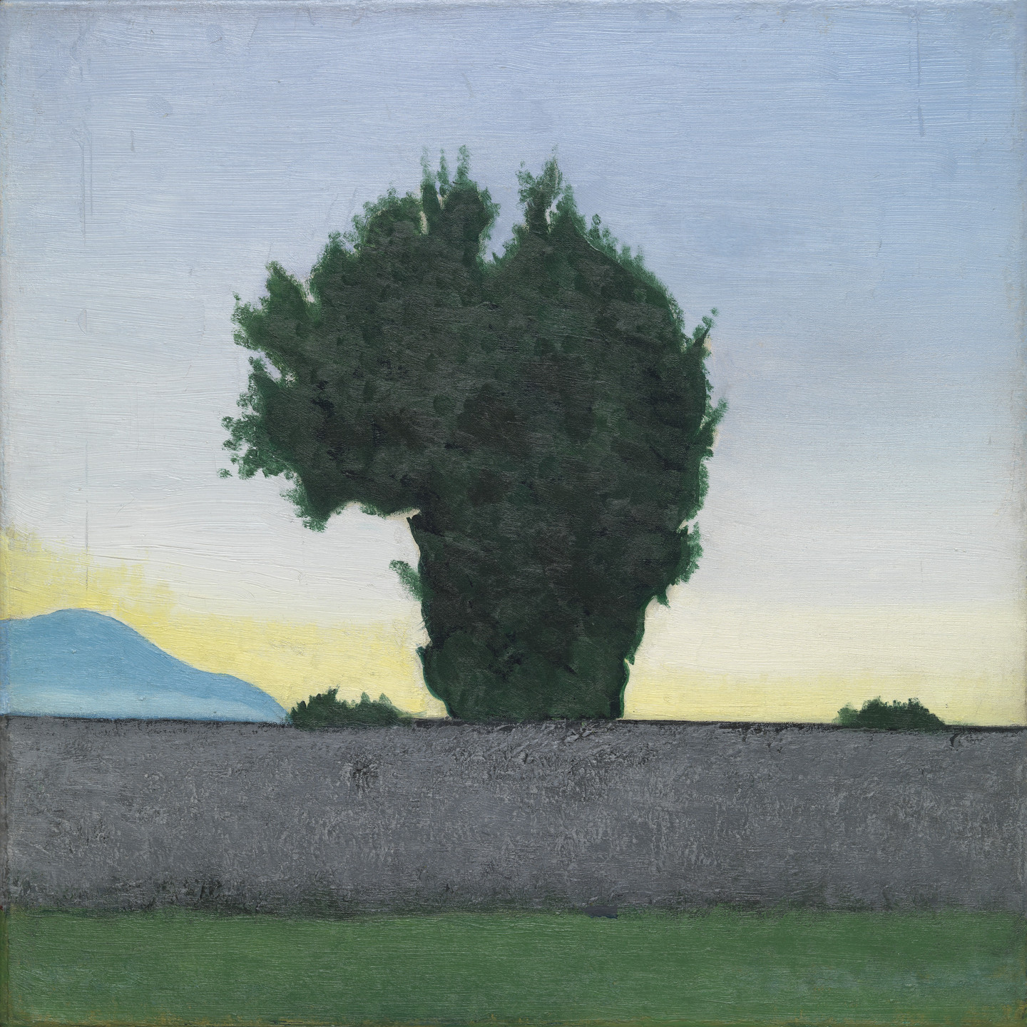 A large, dark green tree stands behind a solid gray fence with green grass in the foreground. The sky has a gradient from pale yellow near the horizon to light blue at the top. This is an AI generated description. To give feedback, email ai@moma.org.