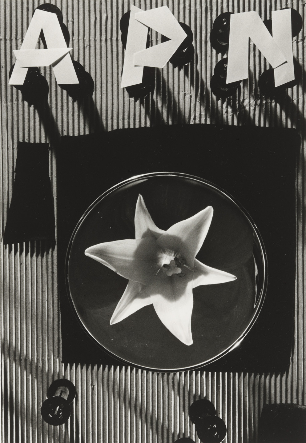 Shozo Kitadai, Kiyoji Otsuji. Untitled from the portfolio APN (Asahi Picture News), Untitled from the portfolio APN (Asahi Picture News). 1953-54