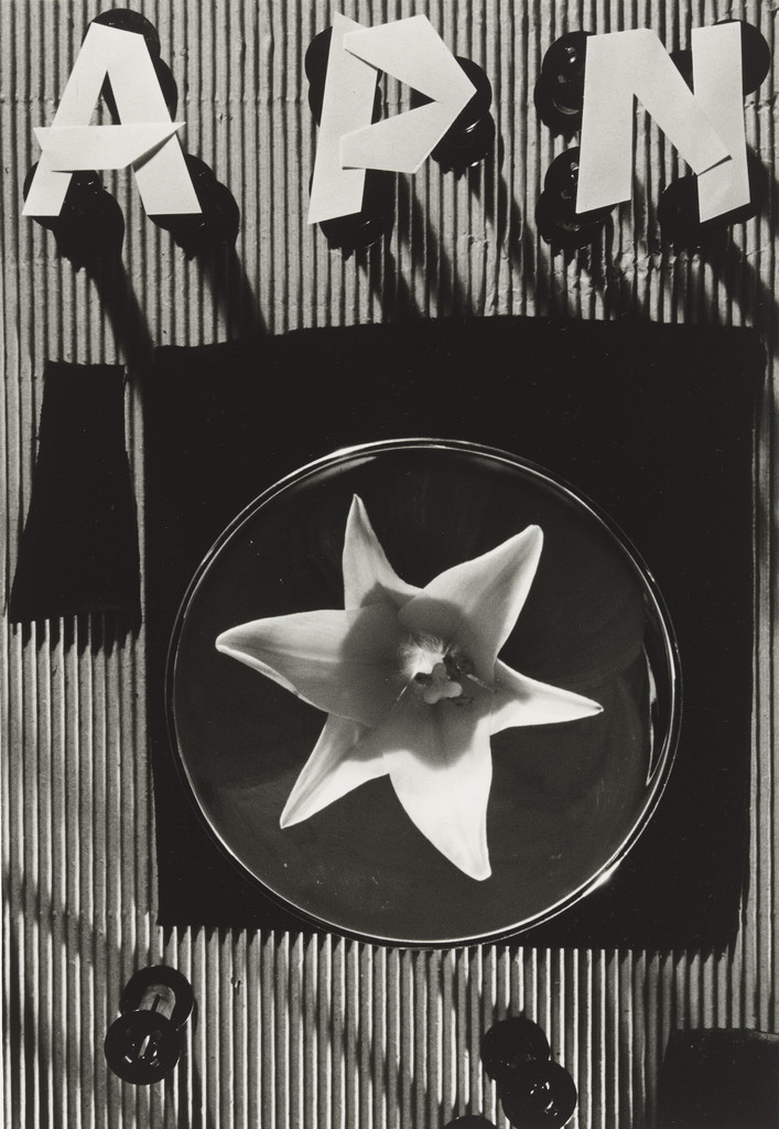 Untitled from the portfolio APN (Asahi Picture News), Untitled \from the portfolio\ APN (Asahi Picture News)