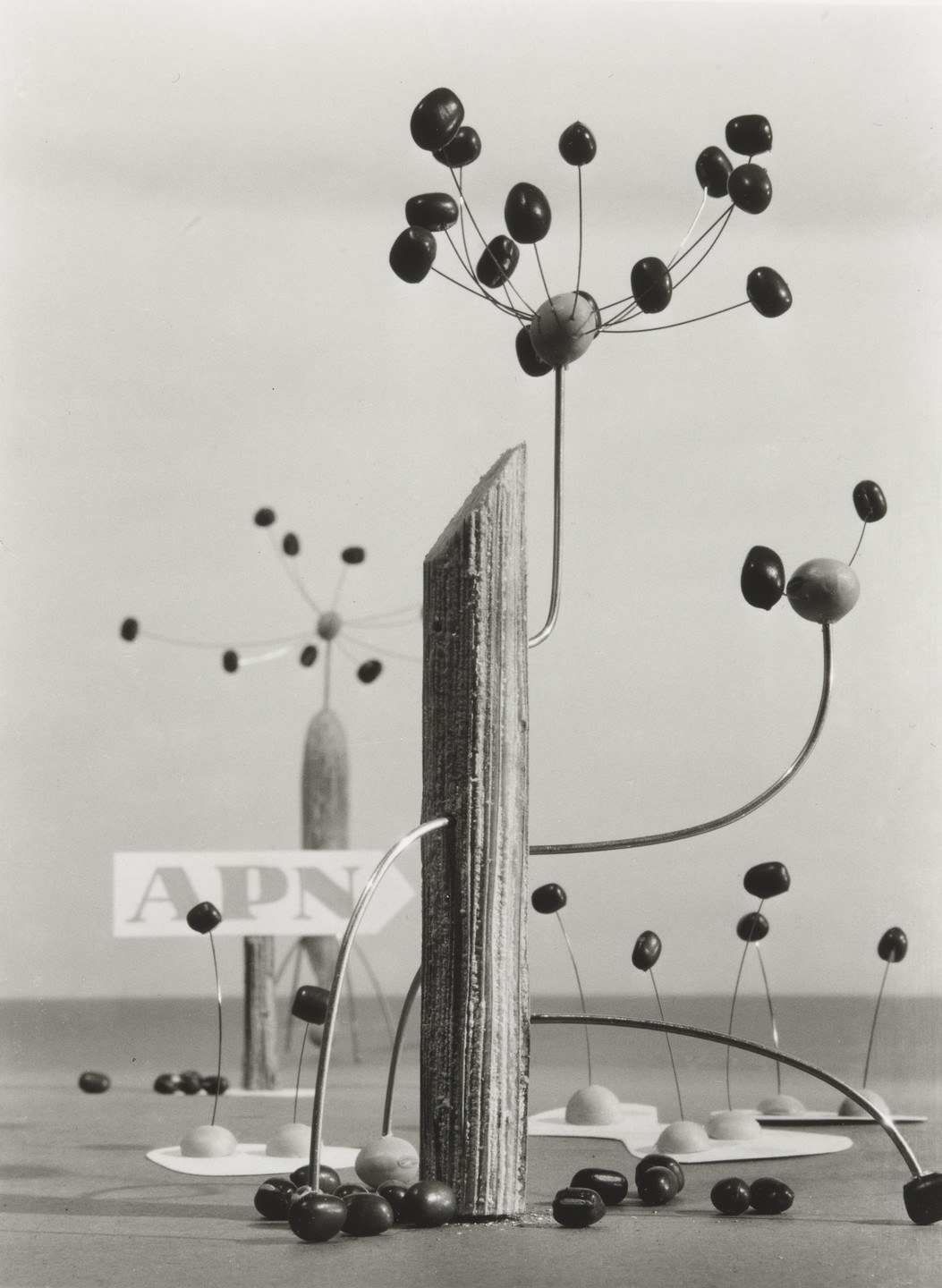 Shozo Kitadai, Kiyoji Otsuji. Untitled from the portfolio APN (Asahi Picture News), Untitled from the portfolio APN (Asahi Picture News). 1953-54