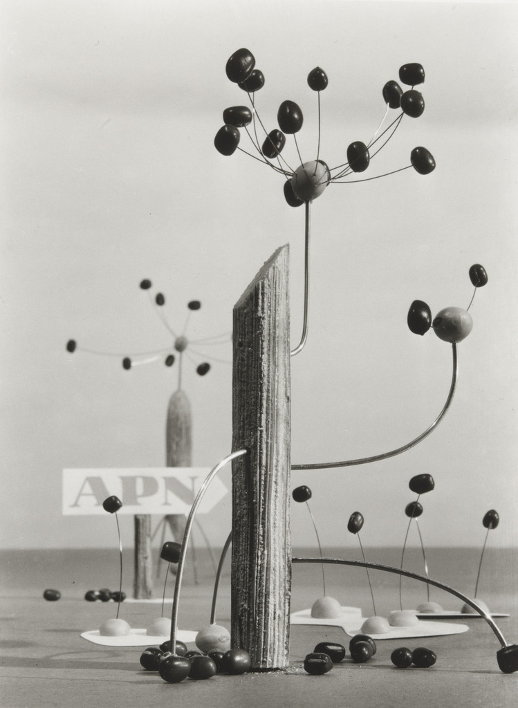 Untitled from the portfolio APN (Asahi Picture News), Untitled \from the portfolio\ APN (Asahi Picture News)