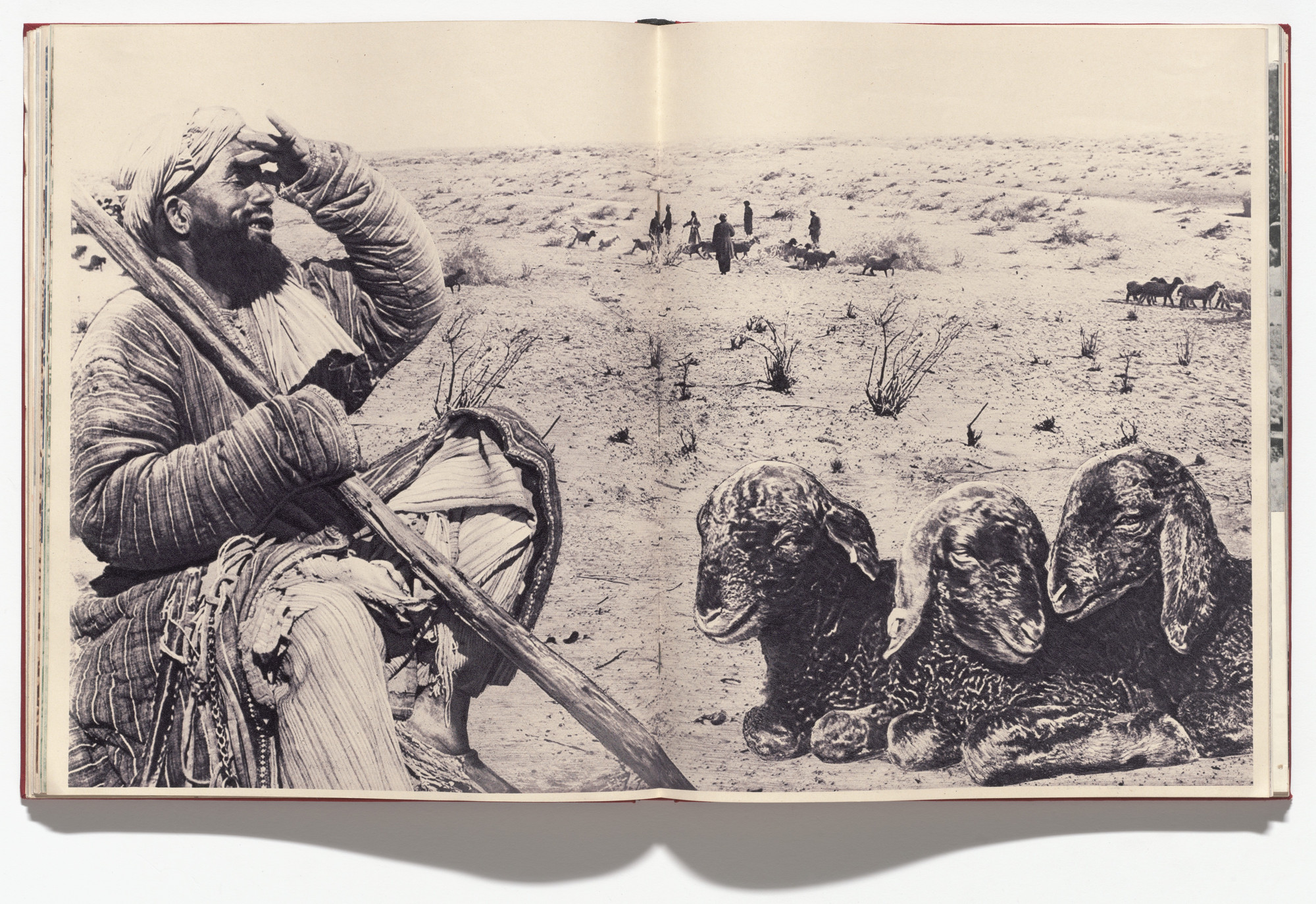 Aleksandr Rodchenko, Varvara Stepanova. 10 let Uzbekistana SSR (Ten Years of Soviet Uzbekistan). 1934