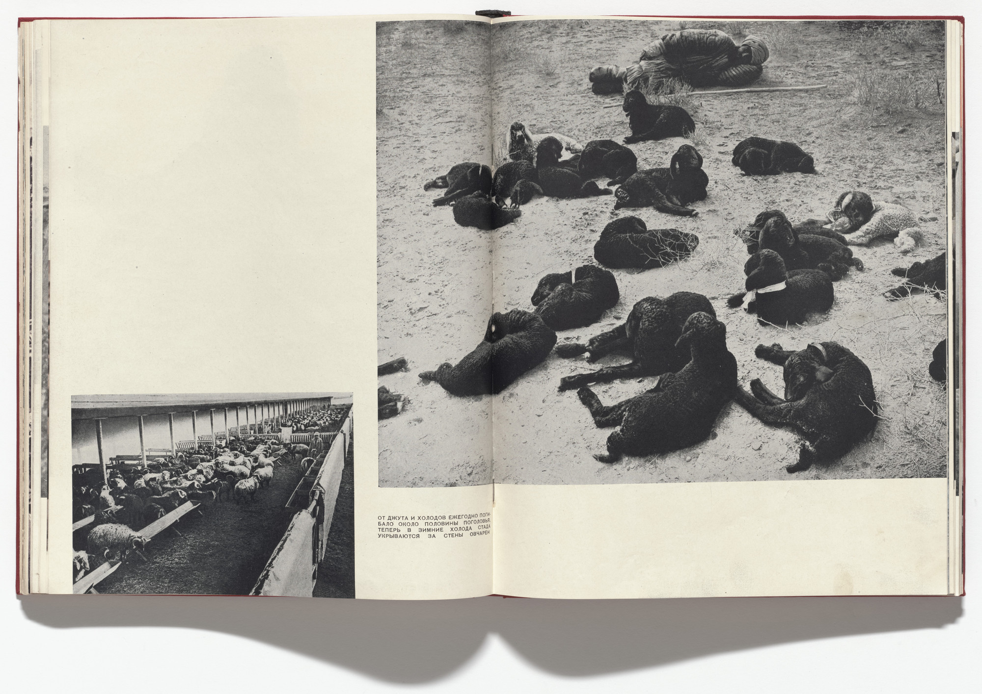 Aleksandr Rodchenko, Varvara Stepanova. 10 let Uzbekistana SSR (Ten Years of Soviet Uzbekistan). 1934