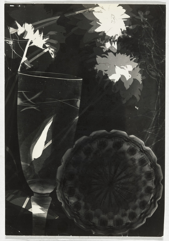 Untitled (photogram)