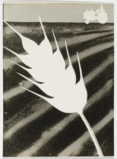 Illustration (photogram) for children's book God za godom
