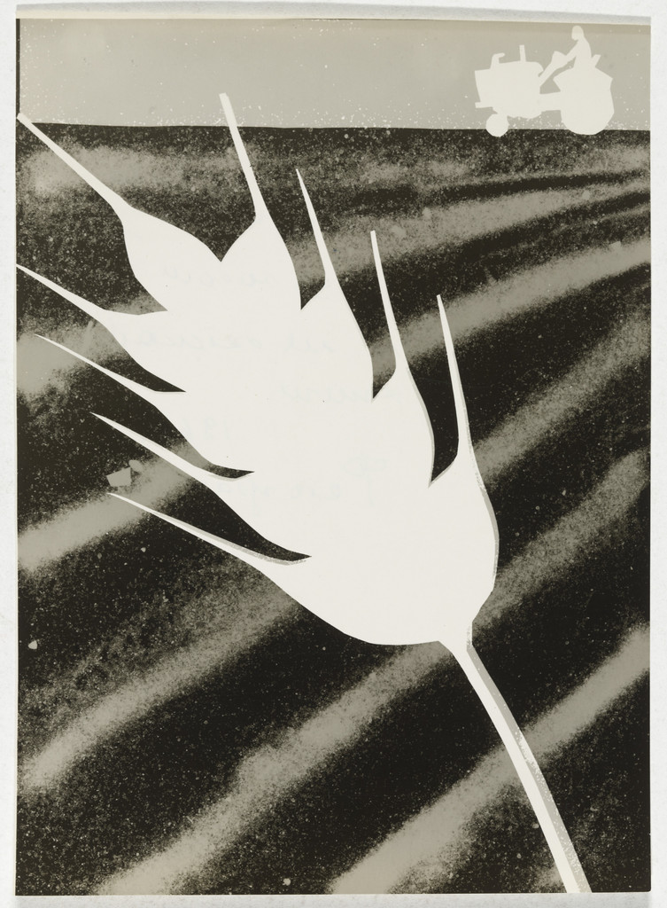 Illustration (photogram) for children's book God za godom (Year by Year)