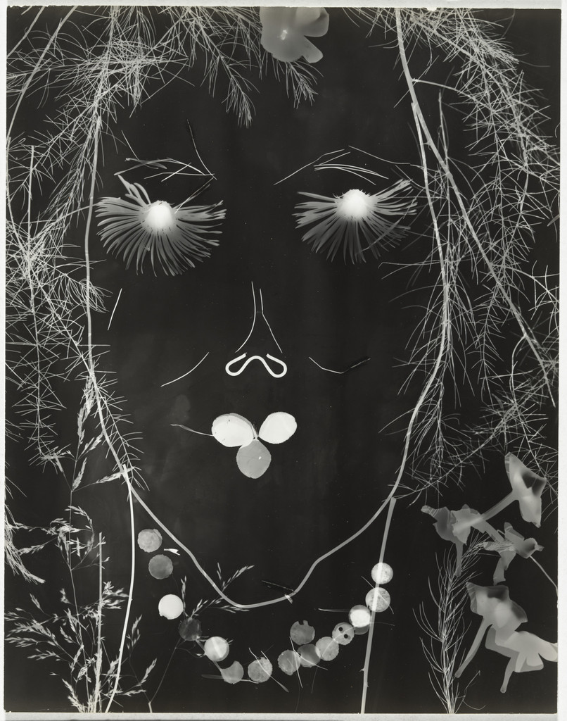 Untitled (photogram)