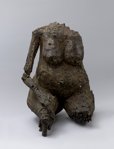 Torso