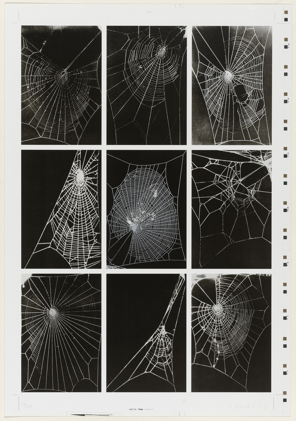 Rosemarie Trockel. Untitled from What It Is like to Be What You Are Not. 1993