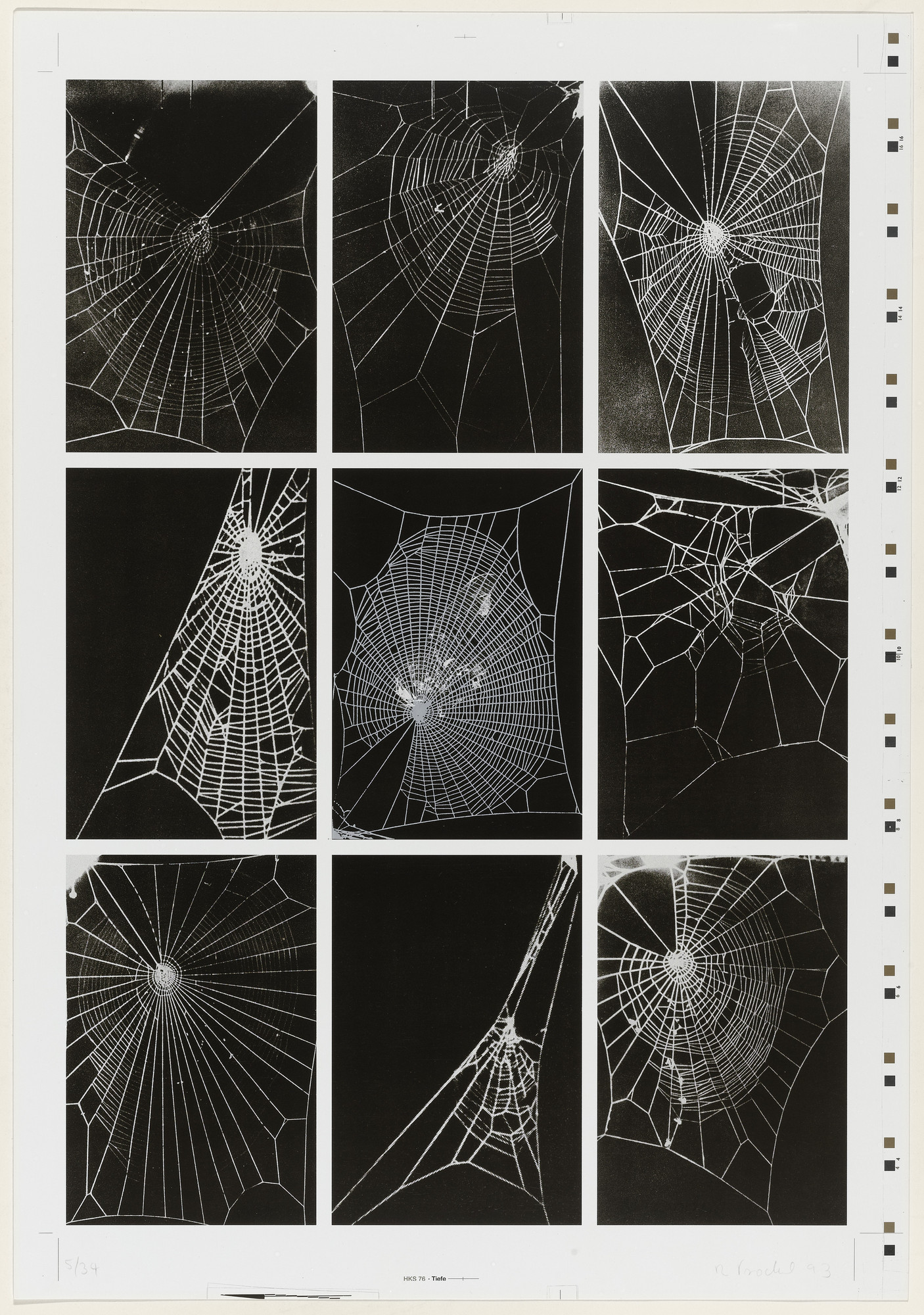 Rosemarie Trockel. Untitled from What It Is like to Be What You Are Not