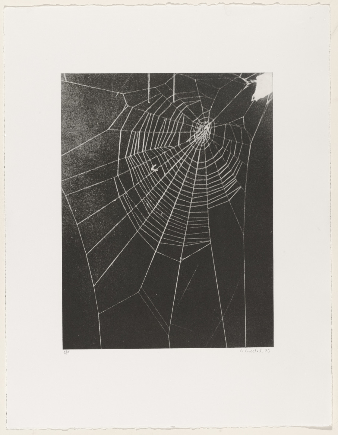 Rosemarie Trockel. Untitled from What It Is like to Be What You Are Not. 1993