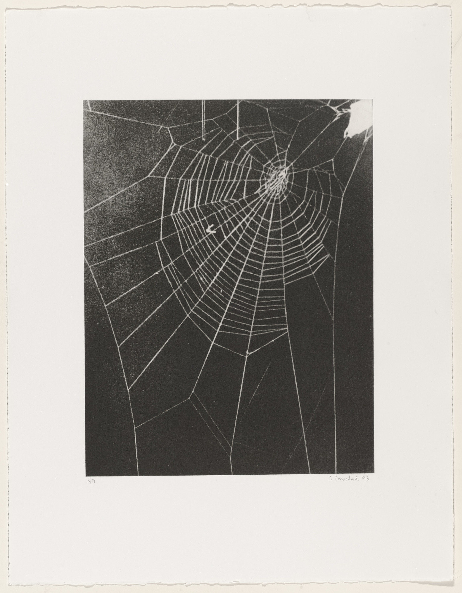 Rosemarie Trockel. Untitled from What It Is like to Be What You Are Not