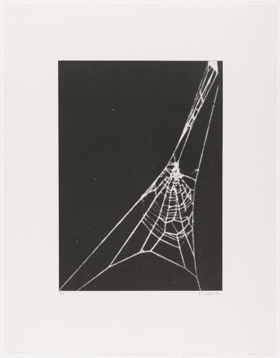 Rosemarie Trockel. Untitled from What It Is like to Be What You Are Not. 1993