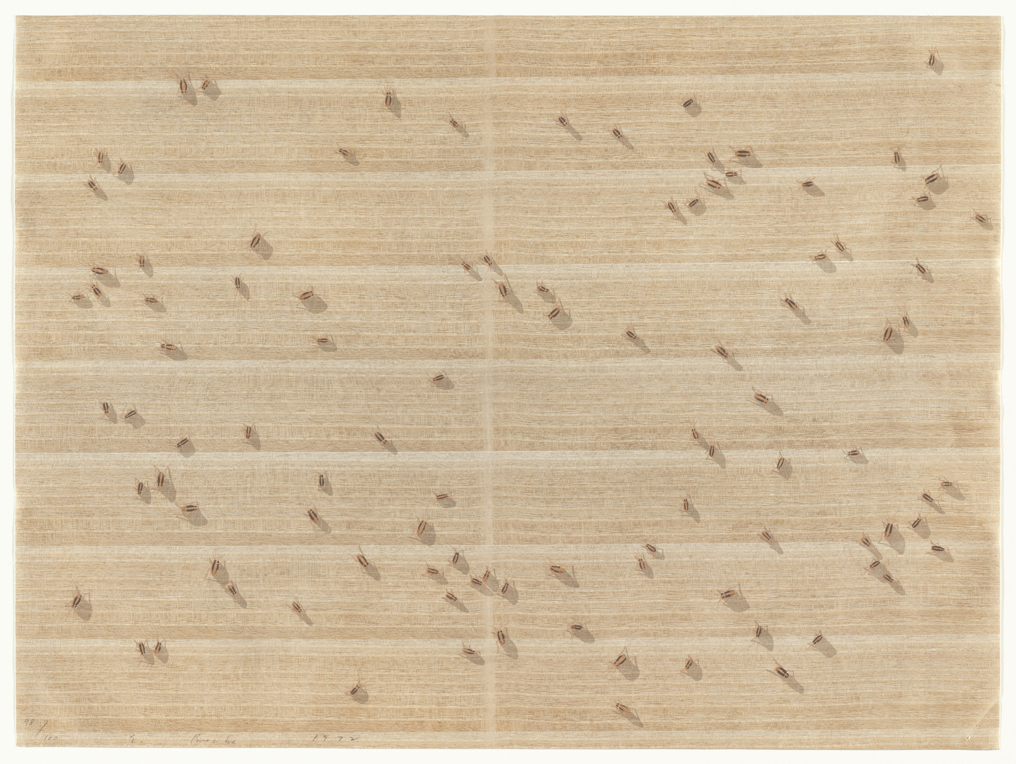 Edward Ruscha. Cockroaches from Insects