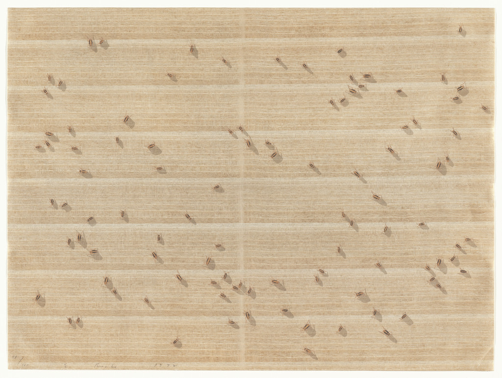 Cockroaches from Insects