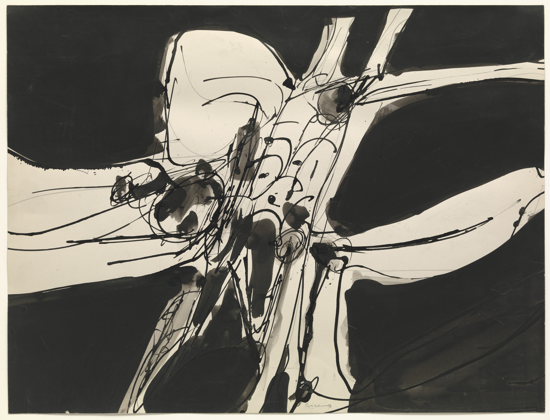 Carmen L. Cicero. Untitled. (1955)