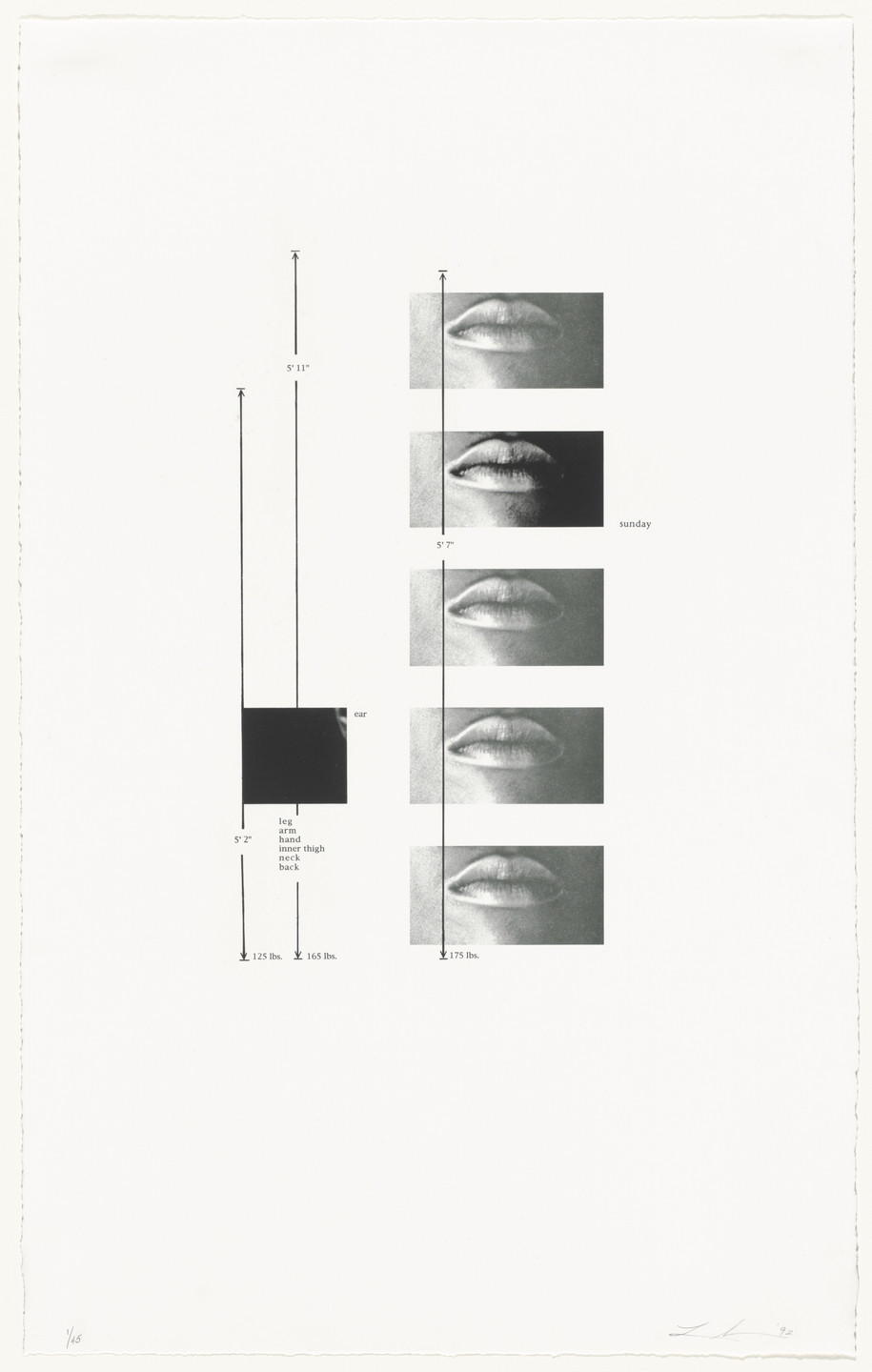 The image features vertical columns of black and white photographs of closed lips aligned horizontally. To the left, there are measurements including heights and weights, and the words leg, arm, hand, inner thigh, neck, and back. This is an AI generated description. To give feedback, email ai@moma.org.