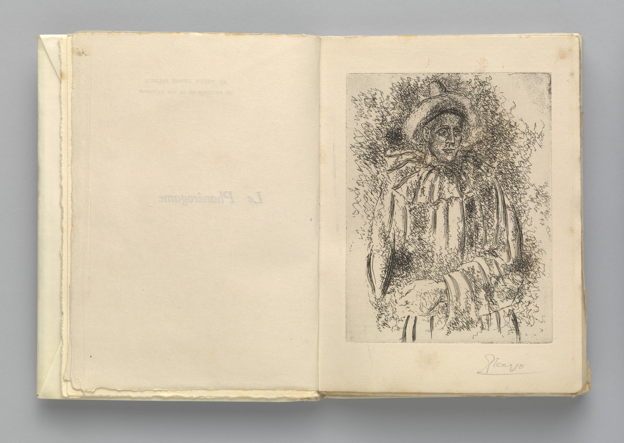 Pablo Picasso. Le Phanérogame