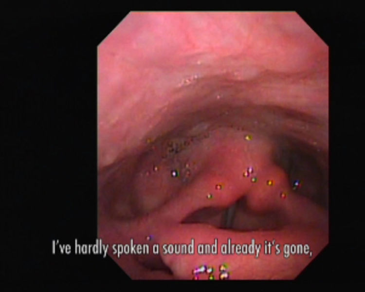 ...I turn over the pictures of my voice in my head