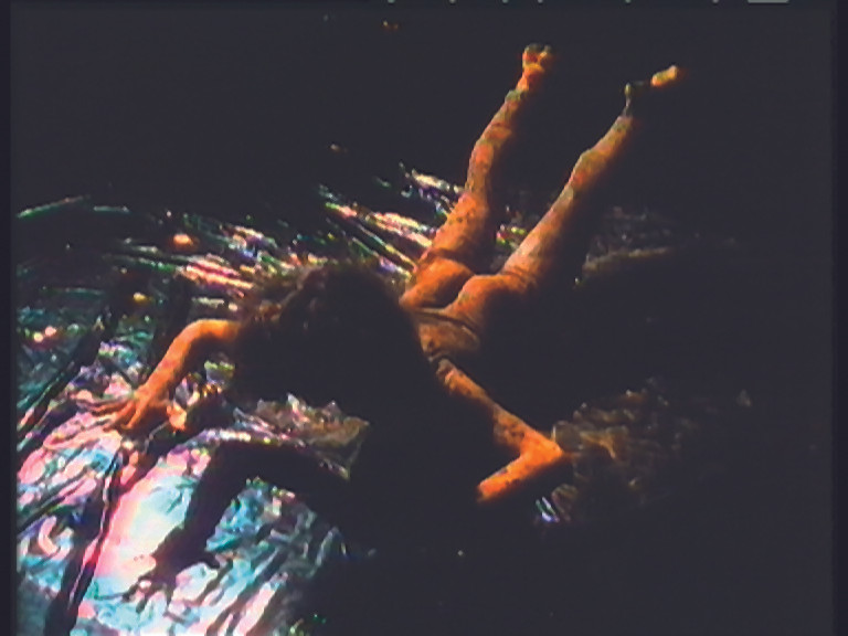 Valie Export. Die Zweiheit der Natur (The Duality of Nature). 1986