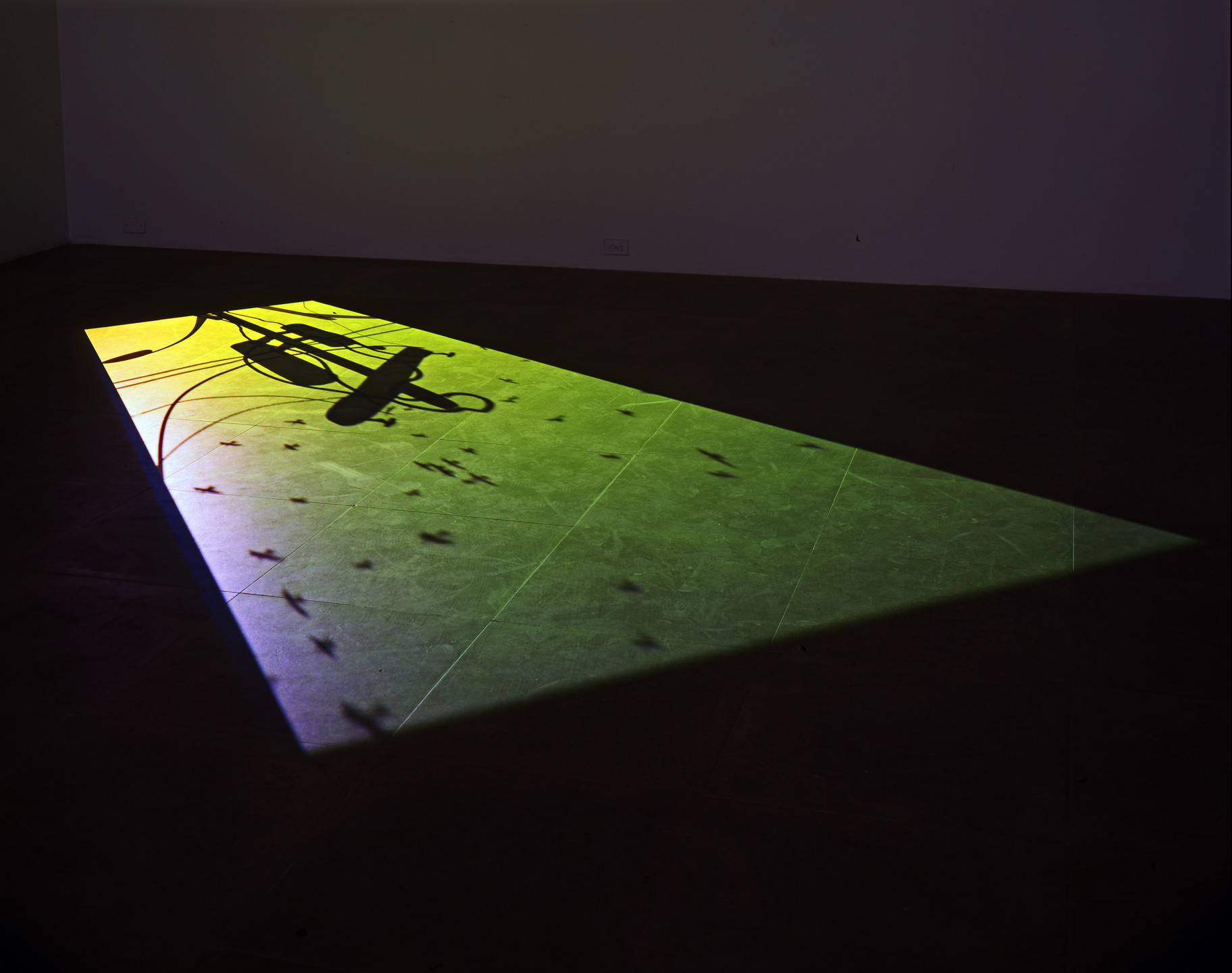 Paul Chan. 1st Light. 2005