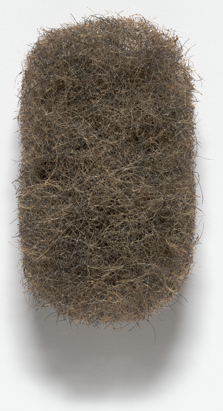 Richard Artschwager. Hair Blp from Locations. 1969