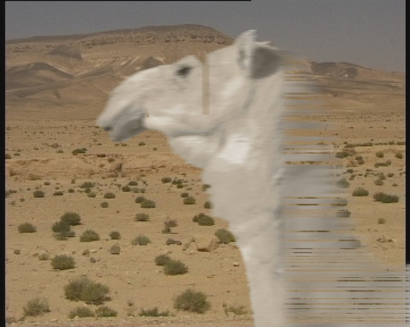 Akram Zaatari. This Day (Al Yaoum). 2003