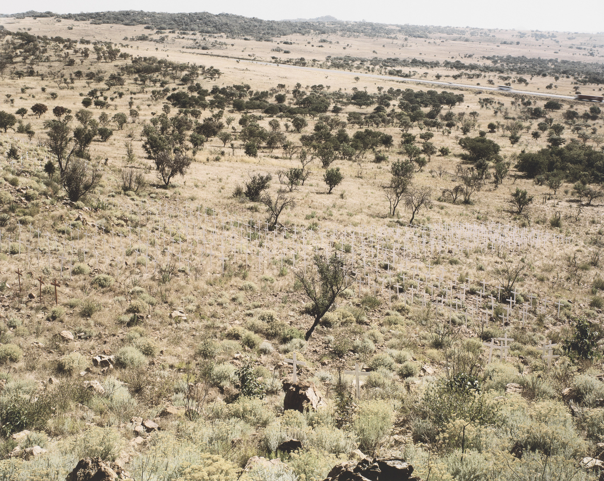 David Goldblatt. Crosses Erected on June 16, 2004 in Commemoration of and Protest against Farm Murders, Rietvlei, on the N1, near Polokwane, Limpopo