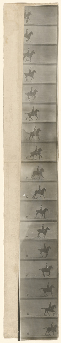 Étienne-Jules Marey. Untitled. 1893-94